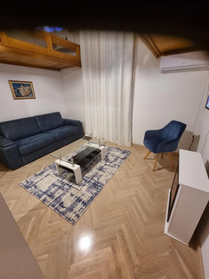 Drinka Parlament Center Apartment 贝尔格莱德 外观 照片