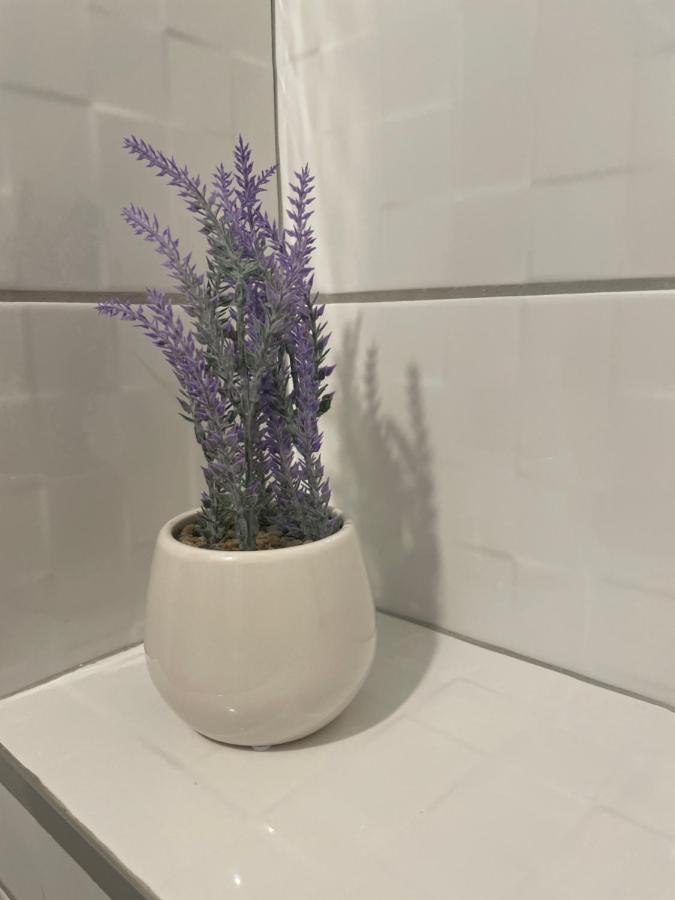 Drinka Parlament Center Apartment 贝尔格莱德 外观 照片